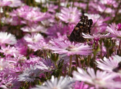 Botanical Gardens & Nature Reserves